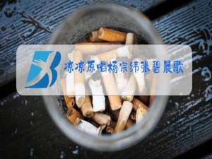 凉凉原唱杨宗纬张碧晨歌曲