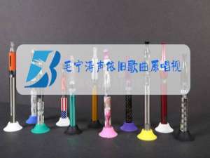 毛宁涛声依旧歌曲原唱视频晚秋