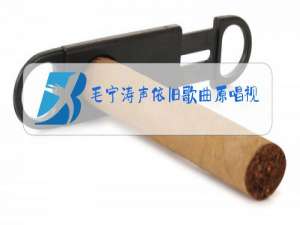 毛宁涛声依旧歌曲原唱视频伴奏