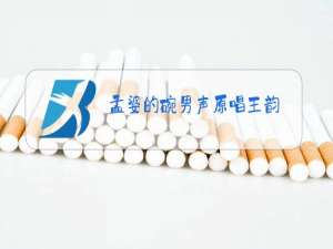 孟婆的碗男声原唱王韵