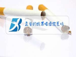 孟婆的碗原唱播放夏鸣