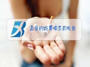 孟婆的碗原唱王韵电台