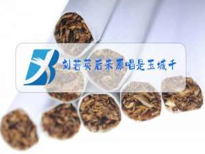 刘若英后来原唱是玉城千春