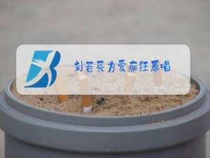 刘若英为爱痴狂原唱