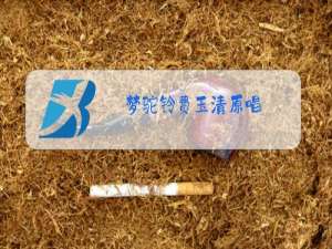 梦驼铃费玉清原唱