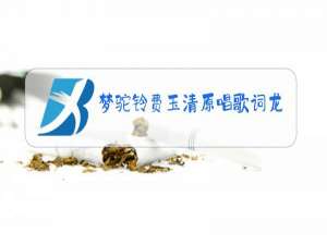 梦驼铃费玉清原唱歌词龙飘飘歌曲知道不知道