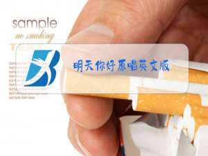 明天你好原唱英文版