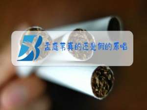 孟庭苇真的还是假的原唱伴奏