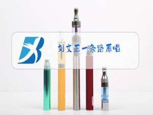 刘文正一条路原唱