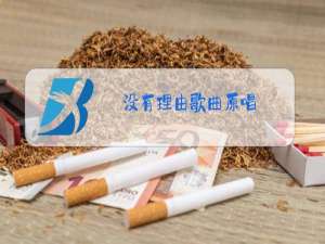 没有理由歌曲原唱