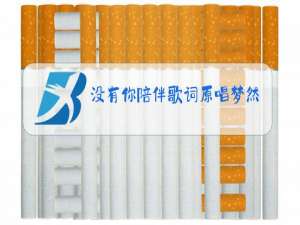 没有你陪伴歌词原唱梦然