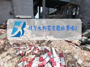 妹丫头你莫走歌曲原唱JD