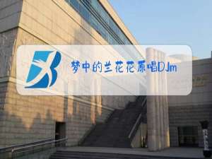 梦中的兰花花原唱DJmp3下载