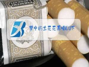 梦中的兰花花原唱DJ下载