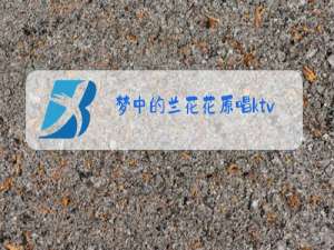 梦中的兰花花原唱ktv