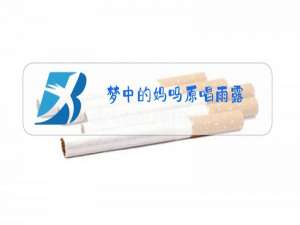 梦中的妈吗原唱雨露