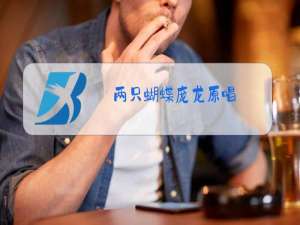 两只蝴蝶庞龙原唱