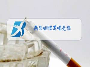 两只蝴蝶原唱是谁