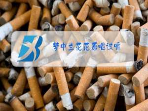 梦中兰花花原唱试听