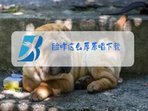 脸咋这么厚原唱下载