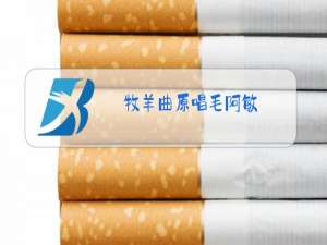 牧羊曲原唱毛阿敏