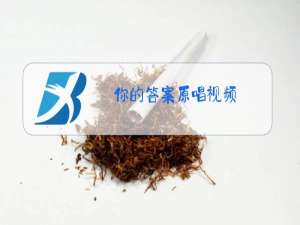 你的答案原唱视频