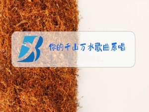 你的千山万水歌曲原唱