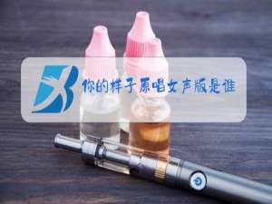 你的样子原唱女声版是谁
