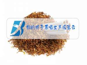 你的样子原唱女声版张云儿