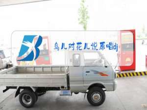 鸟儿对花儿说原唱dj