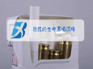 怒放的生命原唱汪峰