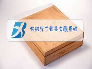 你鼓舞了我英文歌原唱