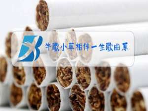 牛歌小草相伴一生歌曲原唱