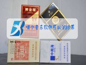 哪个音乐软件可以消除原唱