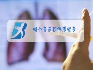 哪个音乐软件原唱多