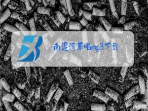 南泥湾原唱mp3下载