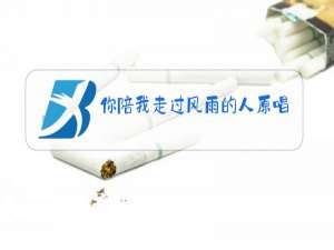 你陪我走过风雨的人原唱落笔