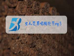 女人花原唱梅艳芳mp3