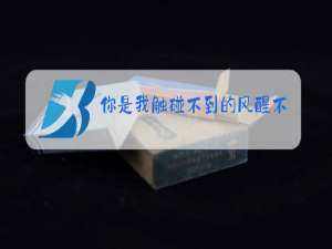 你是我触碰不到的风醒不来的梦原唱