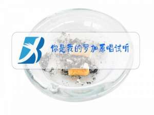 你是我的罗加原唱试听