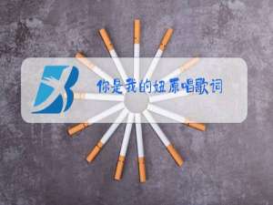你是我的妞原唱歌词
