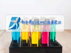 你是我的唯一的执着歌曲原唱