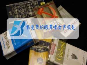 你是我的眼原唱女声版是谁