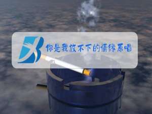 你是我放不下的情缘原唱