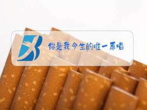 你是我今生的唯一原唱