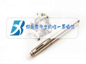 你是我今生的唯一原唱试听