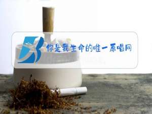 你是我生命的唯一原唱网络歌曲