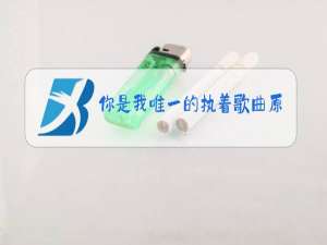 你是我唯一的执着歌曲原唱