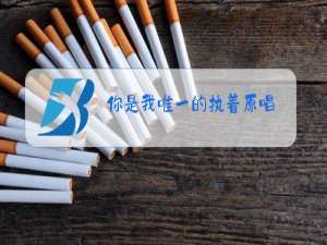 你是我唯一的执着原唱