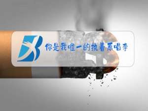 你是我唯一的执着原唱李冰单曲